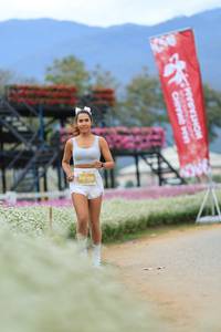 BIB: 
                            <button type="button" onclick="openModal(27895005)" class="btn btn-primary btn-sm float-right btn-popup" data-toggle="modal" data-target=".modal-high-quality">
                        <i class="fas fa-shopping-cart"></i> Add to Cart
                    </button>
                                            <button type="button" onclick="isThisMe(27895005, true)" class="btn btn-success btn-sm float-right btn-popup btn-isme hidden" data-toggle="tooltip" data-placement="bottom" title="นี่คือรูปของคุณใช่ไหม คลิกที่นี่เพื่อเอาเข้าอัลบั้ม">
                        <i class="fas fa-plus"></i> Add to album
                    </button>
                    <button type="button" onclick="isThisMe(27895005, false)" class="btn btn-warning btn-sm float-right btn-popup btn-isnotme hidden">
                        <i class="fas fa-ban"></i> Remove from album
                    </button>